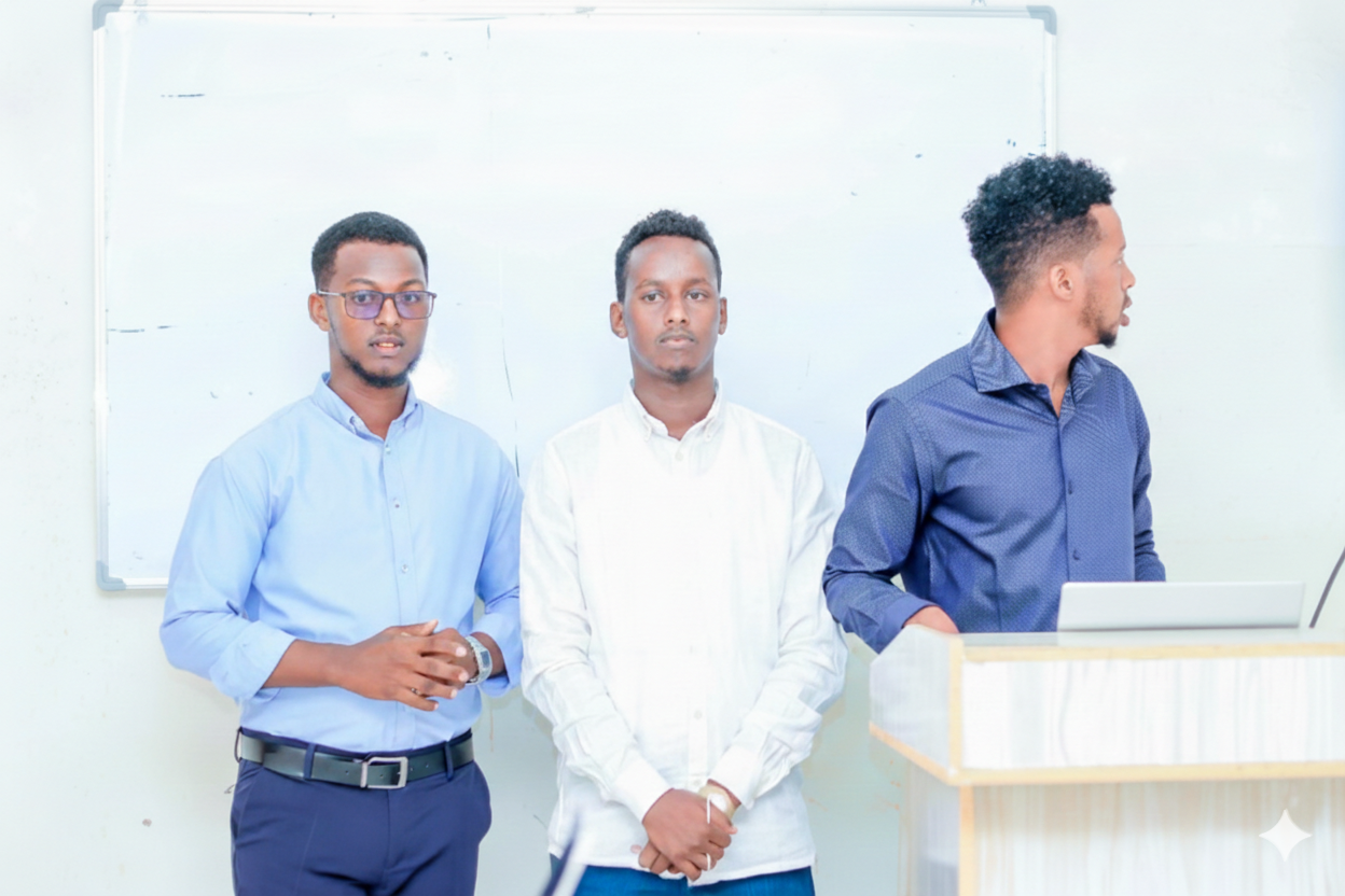 Somali Institutional Systems